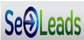 Seo Leads