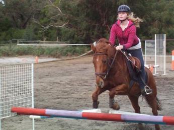 Tranquil Park Stables