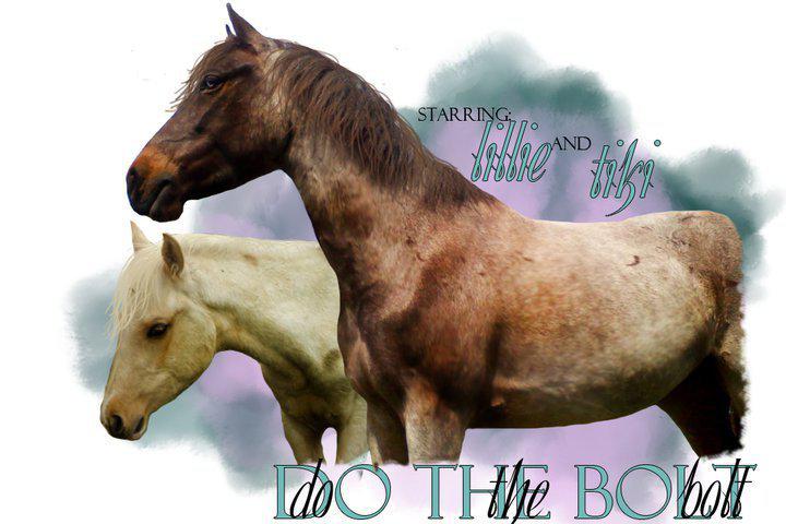 Do The Bolt
