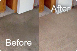 Mycarpetcleaner
