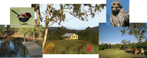 Barking Owl Retreat