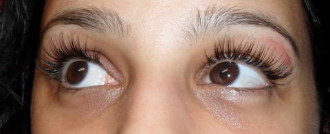 Lashed Beauty