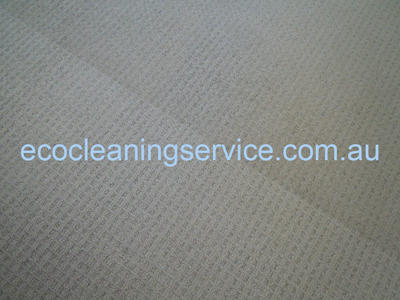 Eco Cleaning Service