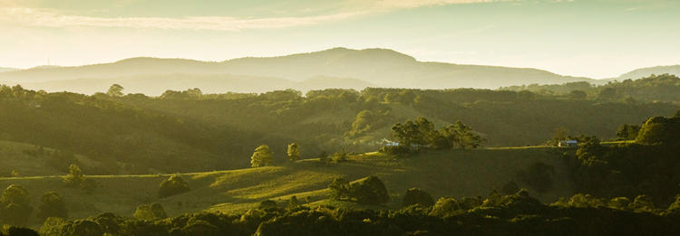 Summer Hills Retreat Byron Bay
