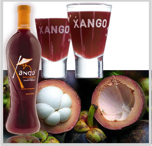 Robyn McVeigh: XanGo Independent Distributor