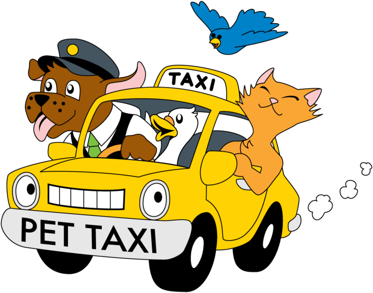 Kimberly's Pet Taxi