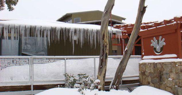 Mt Buller Accommodation