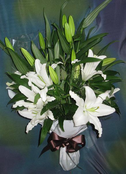Miss Daisy's Flower Shop