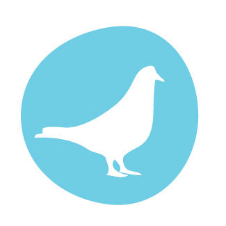 Pigeon Pie