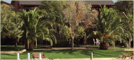 Andyman Synthetic Turf: Morayfield