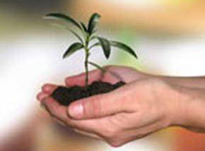 Counselling Australia: Kenmore Hills