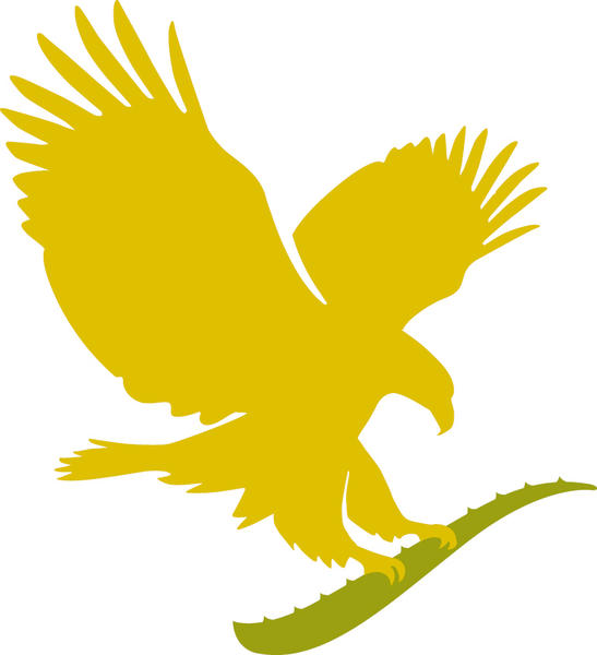 Forever Living: Dianne Nockels