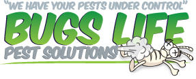 Bugs Life Pest Solutions