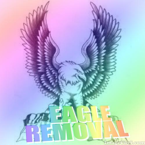Eagle Furniture Removal
