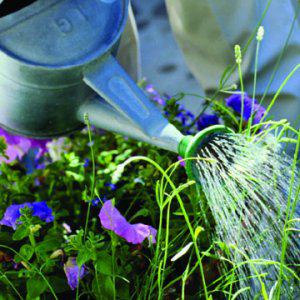 Best Gardener: Melbourne