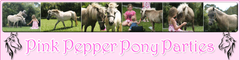 Pink Pepper Pony Parties