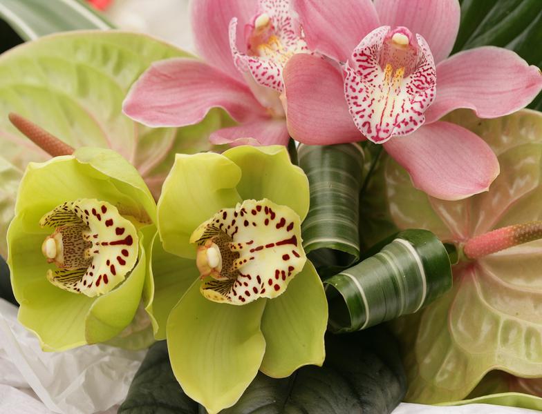 Amore Flowers