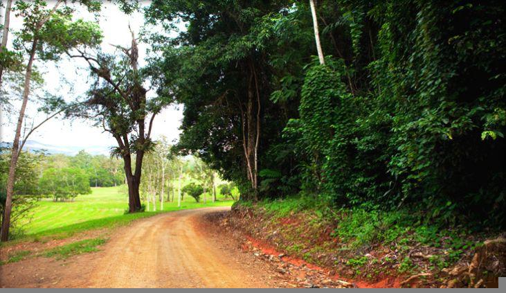 Hinchinbrook Habitats