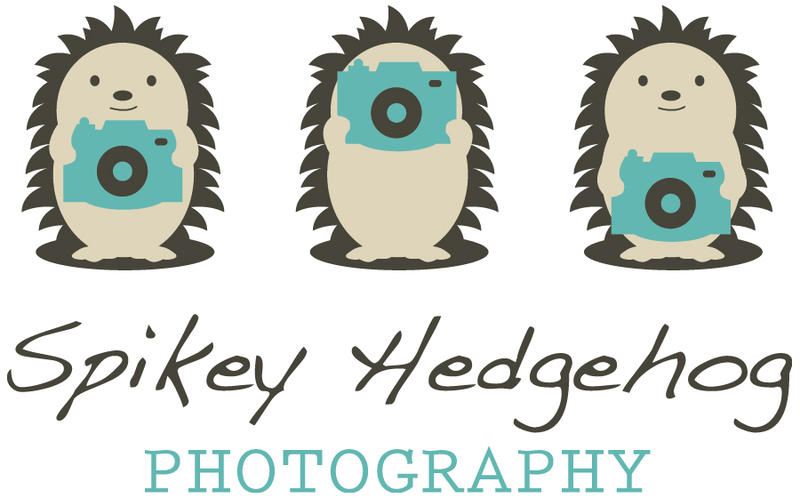 Spikey Hedgehog Photography