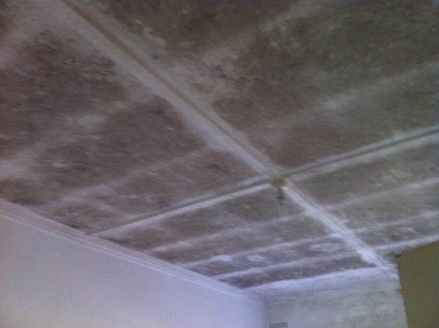 PureProtect: Wantirna South