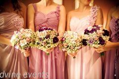 Dvine Events