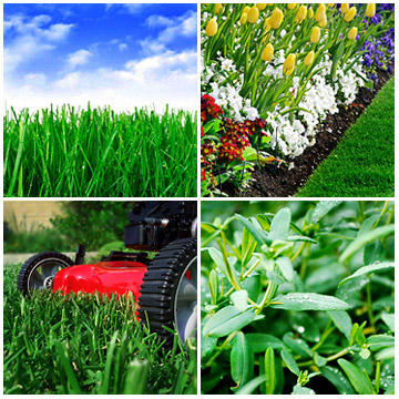 Scotts Green Care