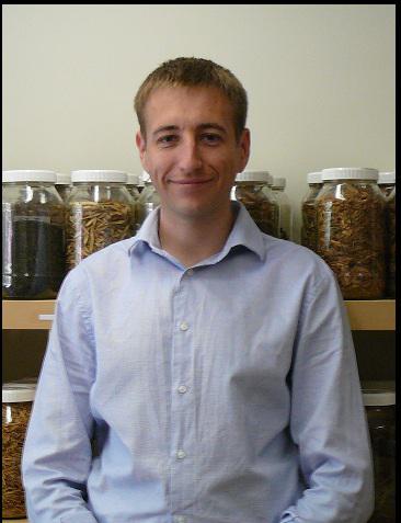 Nicholas Savva Acupuncture