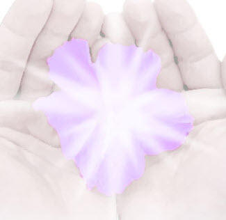 Eternal Abundance Alternative Therapies, Reiki, Reiki Workshops, Kinesiology