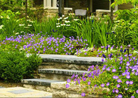 Northside Tree and Garden Service: Willoughby
