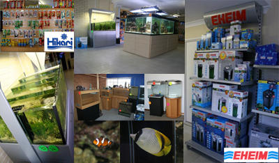 Awesome Aquariums
