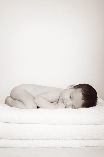 Pure Blossom Photography