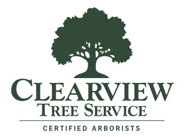 Clearview Tree Service