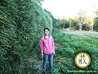 Bamboo Whitsunday