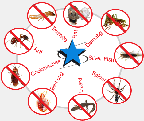 Active Pest Management Services