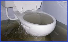Moyle Plumbing & Gasfitting Pty Ltd