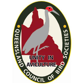 Queensland Council Of Bird Societies