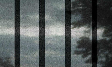 Patrenza Blinds