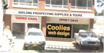 Coolies Website Design