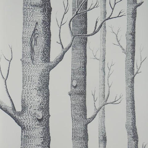 Removable Wallpaper
