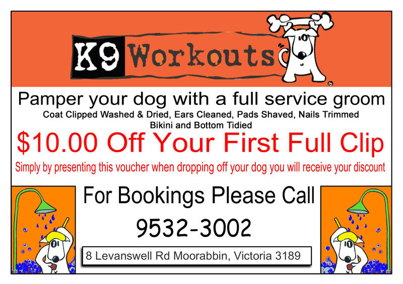K9 Workouts
