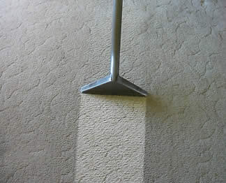 Carpet Cleaning: Werribee logo