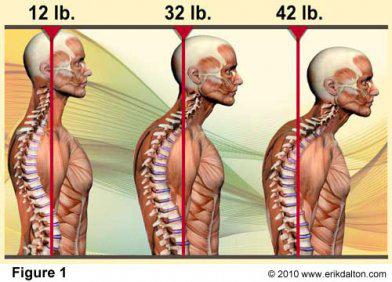 Wellbeing Chiropractic: Hawthorn