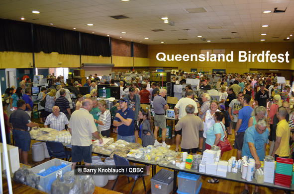 Queensland Bird Breeders Club