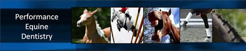 Performance Equine Dentistry