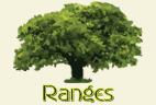 Rangers Tree Services