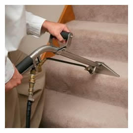 Cleaners Glen Waverley