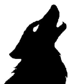 Wolfel Pty Ltd logo