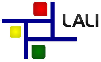 LALI Business Consulting Pty Ltd logo