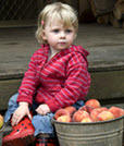 Adopt A Fruit Tree