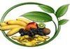 Staying Healthy Naturopathy